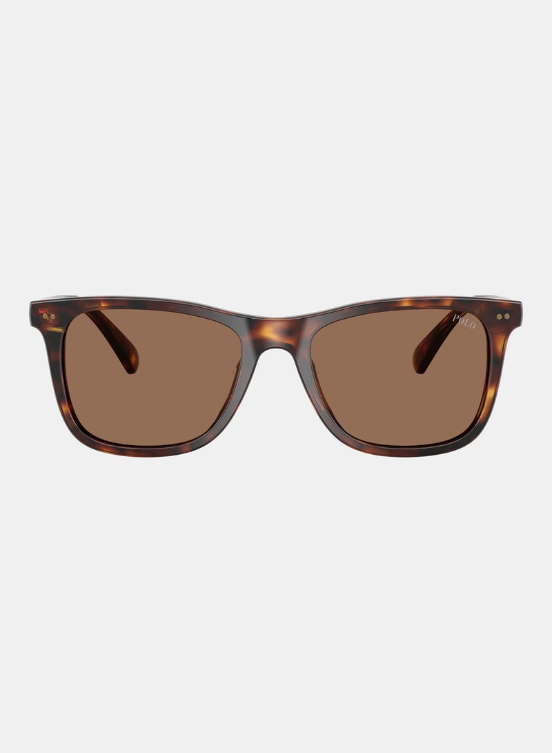 POLO RALPH LAUREN Full Rim Square Sunglasses 0PH4220U - Image 1